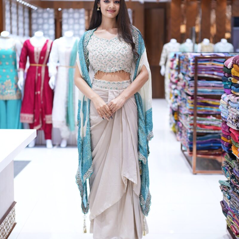 DSC01751 Sample Saree
